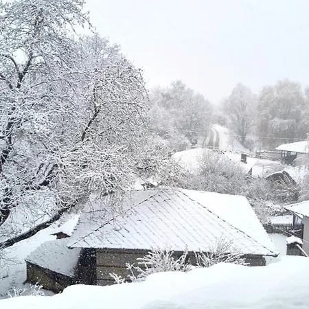Gasthuis панорама *