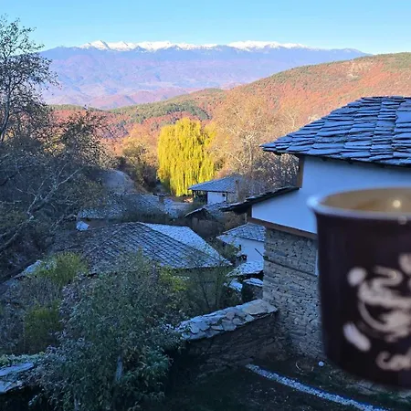 панорама 4*