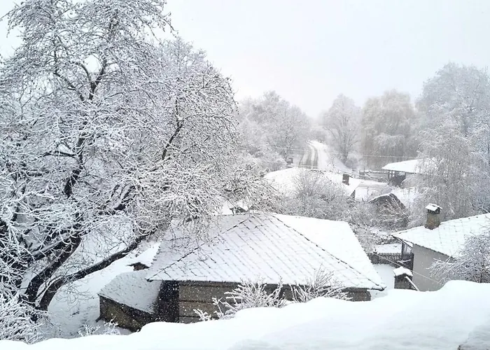 Πανσιόν панорама 4*